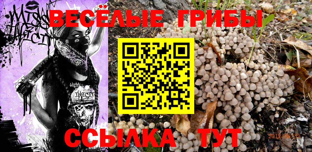 Сафоново  Галлюциногенные грибы MAGIC MUSHROOMS  Вход с VPN 